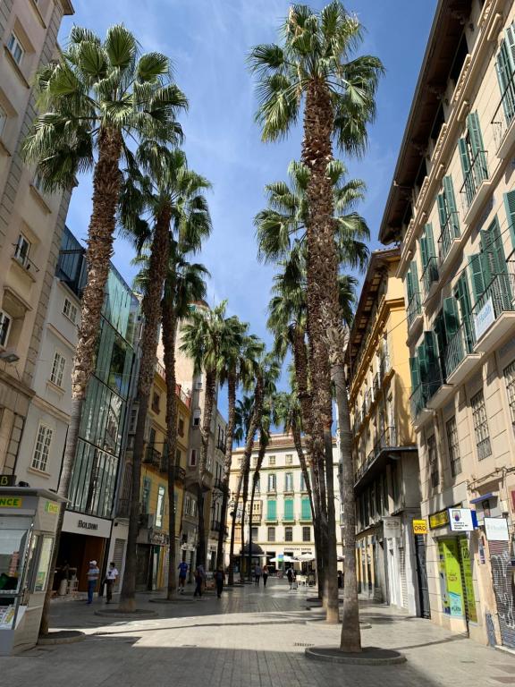 Picasso City Center 1A, Málaga – Updated 2022 Prices