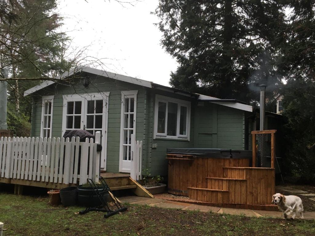 a green house with a dog standing in front of it at Woodland Cabin With private Wood-Fired Hot-Tub in Farnham