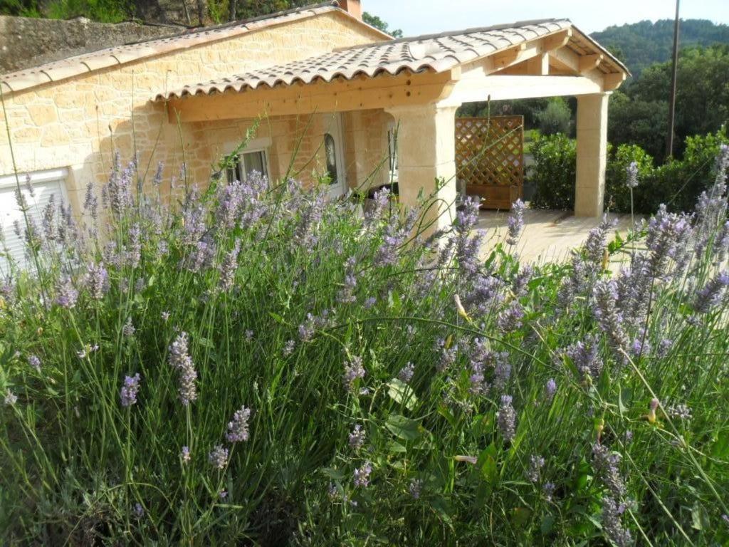 une maison avec un champ de fleurs violettes devant elle dans l'établissement MAS PROVENCAL, à St Jean de l’Esterel