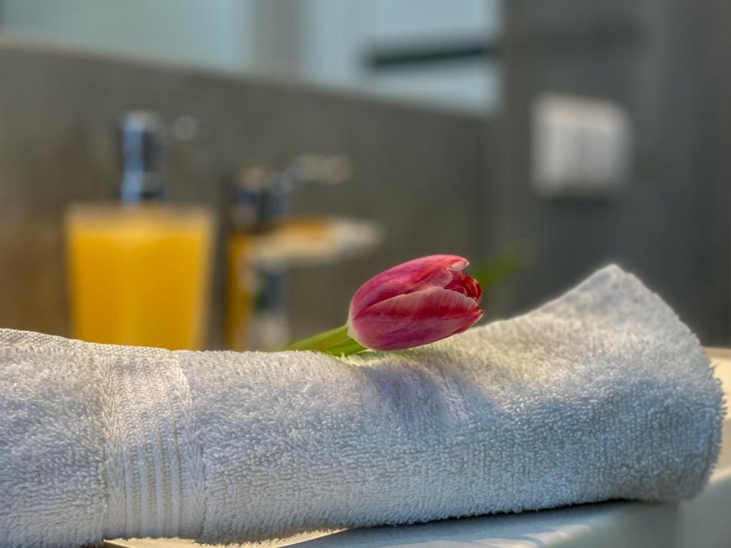 Apartamenty AP 10 - 10