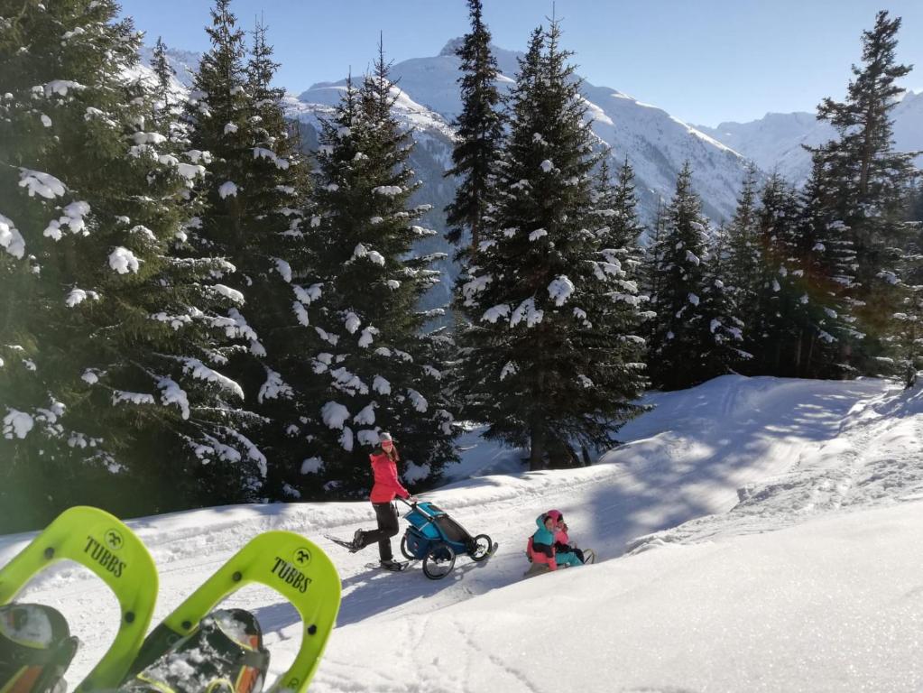 Mountain alpine v zimě