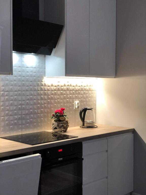 Kuchyňa alebo kuchynka v ubytovaní Apartament Stare Miasto
