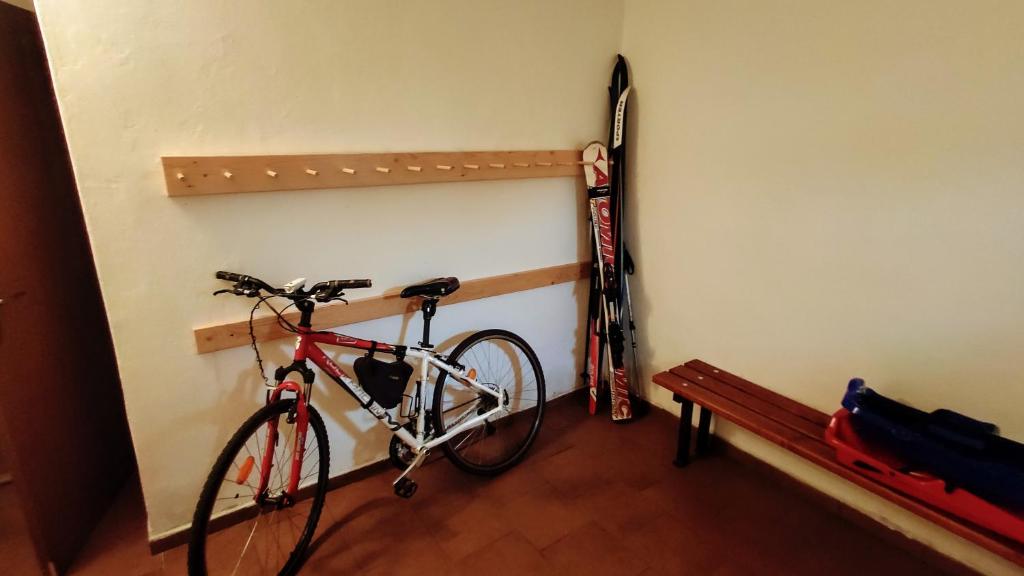 Jízda na kole v ubytování Apartmán Viky, Karlovice 251, 79323 Karlovice nebo okolí