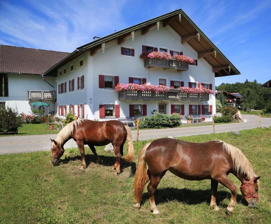 two horses grazing in the grass in front of a building at Heutauer Hof in Siegsdorf