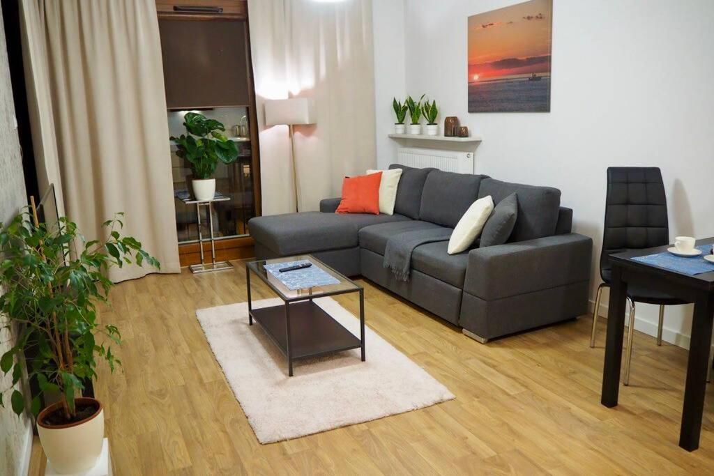 uma sala de estar com um sofá cinzento e uma mesa em Wilanów Apartment close to Town Hall and Palace em Varsóvia