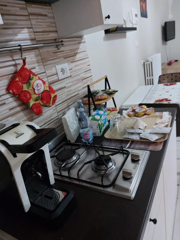 A kitchen or kitchenette at Guest House Orsini