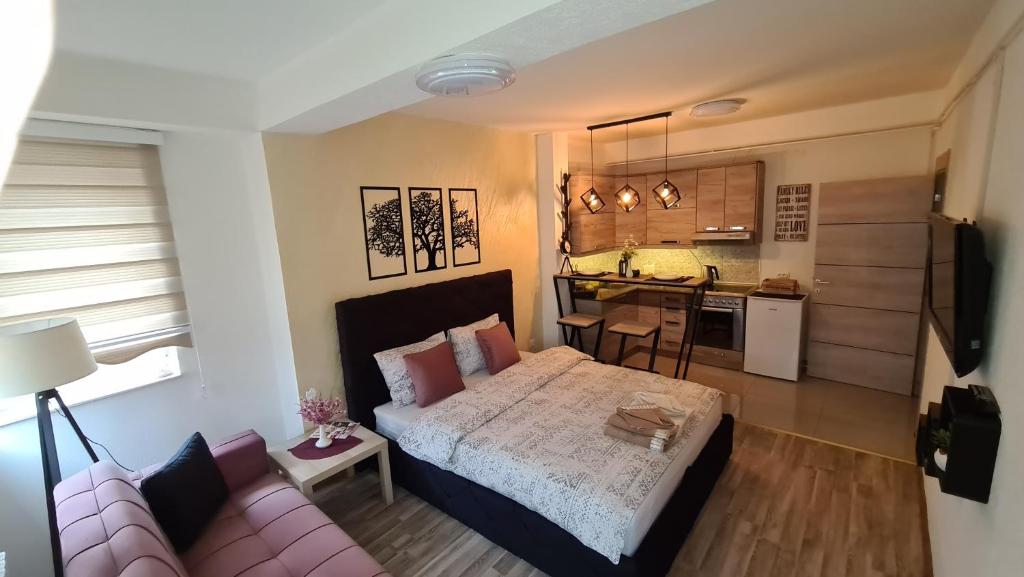 ノヴィ・パザルにあるGalata Apartmentのベッドルーム1室(ベッド1台、ソファ付)、キッチン