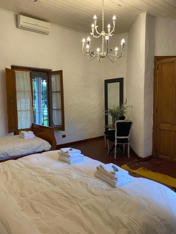 Don Aniceto - Suites de Campo - Deluxe King Room