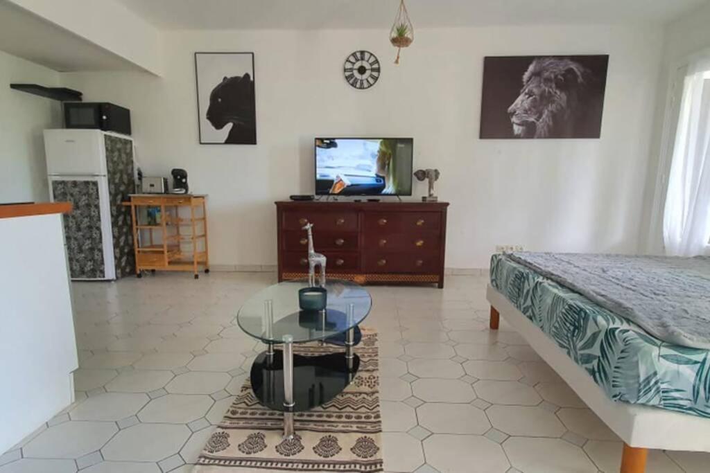 Kuchyň nebo kuchyňský kout v ubytování Grand studio Tropical idéalement situé, jardin et piscine