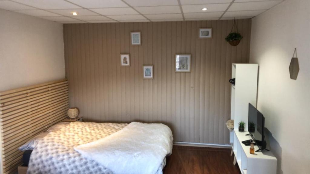 une chambre avec un lit et une télévision dans l'établissement Le printemps de mélusine, à Niort