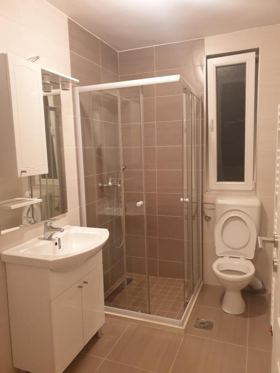 a bathroom with a shower and a toilet and a sink at Apartman Dunjica in Pale