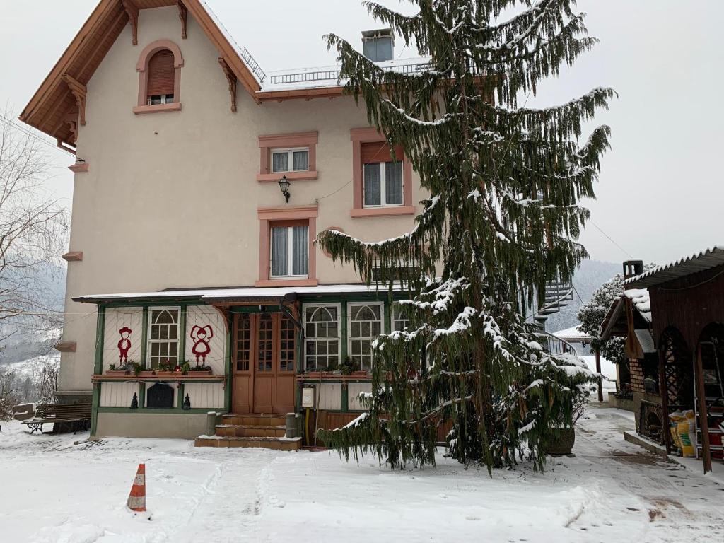 Chambre Gentiane 2 à 3 personnes wifi sdb partagée - Chambre Double Avec Vue Sur Montagne