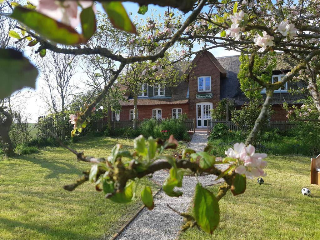 a house with a flowering tree in front of it at Tammwarftshof in Pellworm