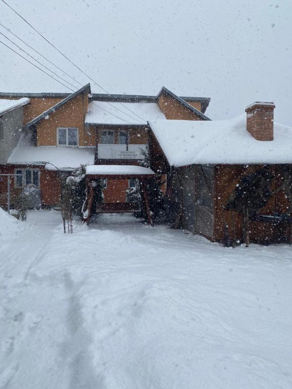 瓦特拉多梅的住宿－Pensiunea Lăcrămioara，屋顶上积雪的房子