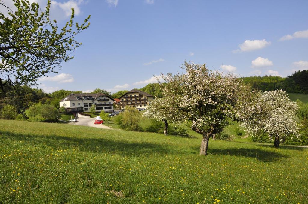 Příroda nedaleko hotelu