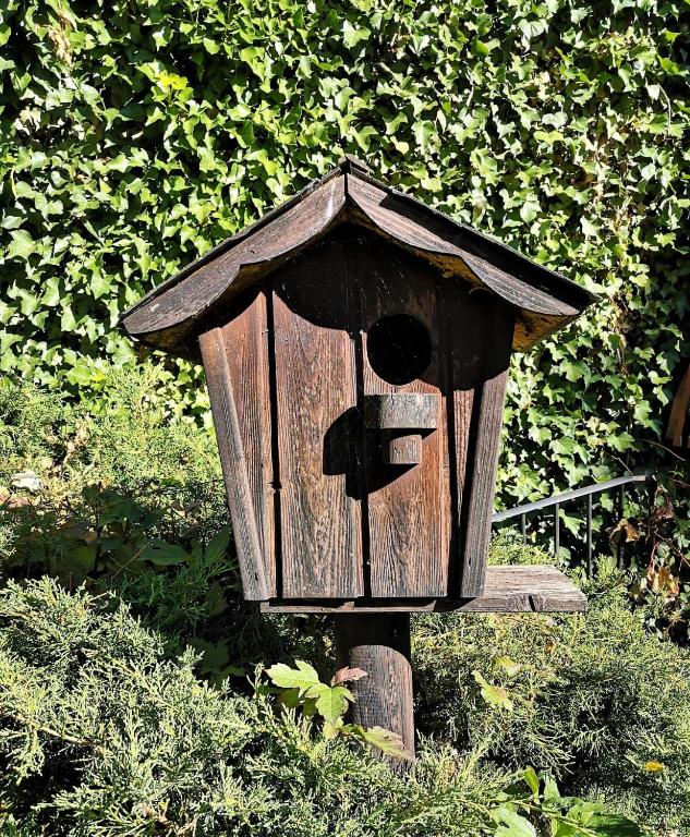 Vonkajšia záhrada v ubytovaní Chalet con gran jardín en Llivia