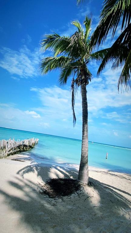 Foto da galeria de Itzé Hostel em Isla Mujeres
