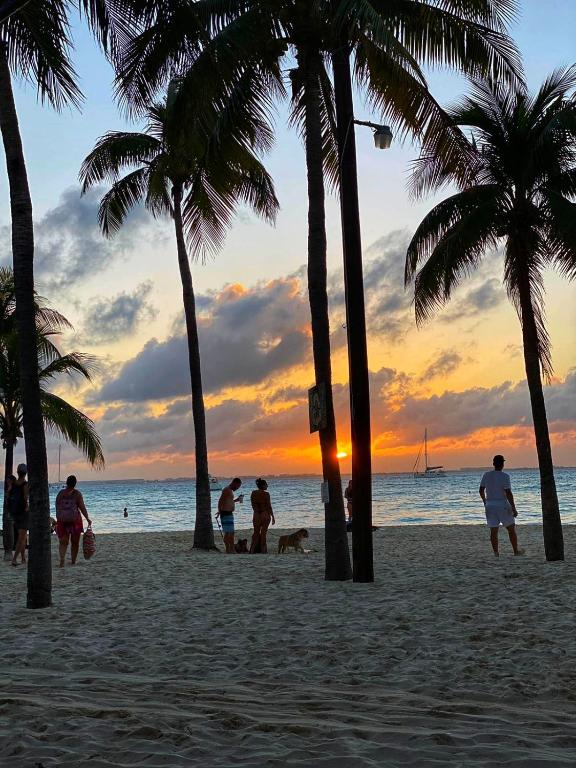 Foto da galeria de Itzé Hostel em Isla Mujeres