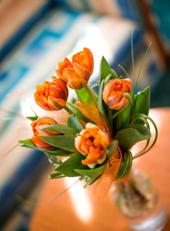 Hotel Dvorak - Resim 20