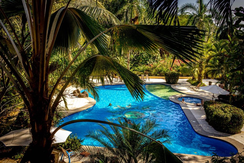 - une piscine avec un palmier au premier plan dans l'établissement Jaco Hotel DoceLunas, à Jacó
