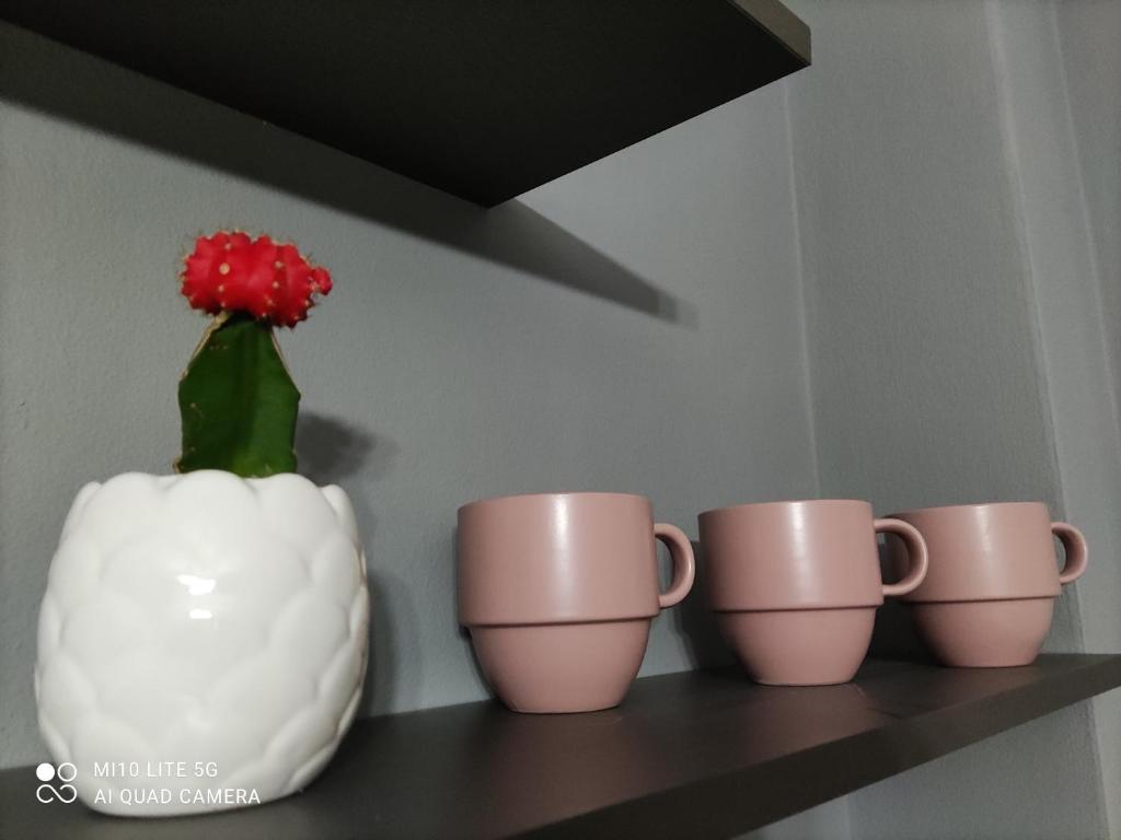 Fotografie z fotogalerie ubytování Koa Studio 1 v destinaci Korçë