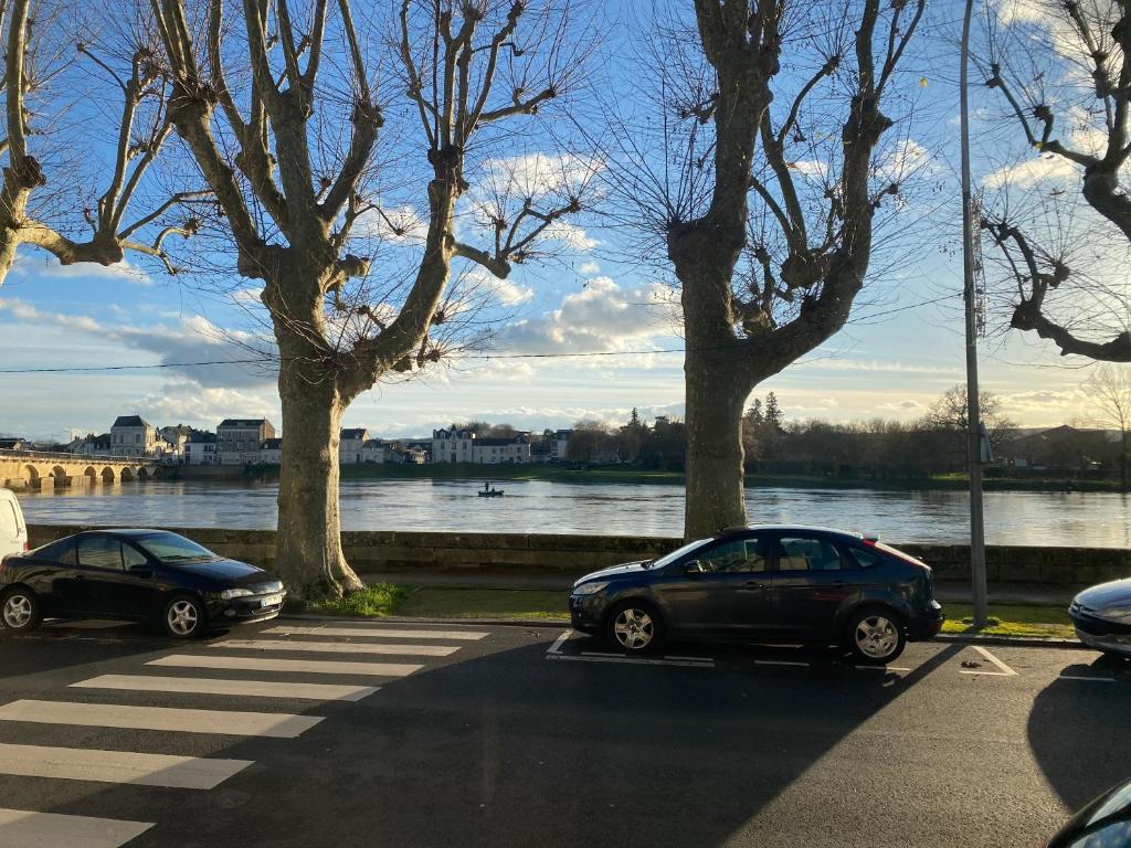 dois carros estacionados num parque de estacionamento ao lado de um rio em Le Charles VII - VIENNE em Chinon