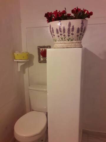  Casa de Ale (Trancoso)