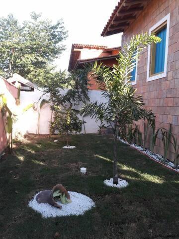  Casa de Ale (Trancoso)