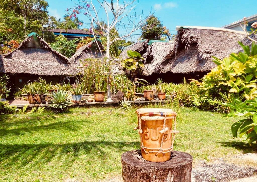 a pot sitting on top of a tree stump at Hotel La Casa Rosada in Lívingston
