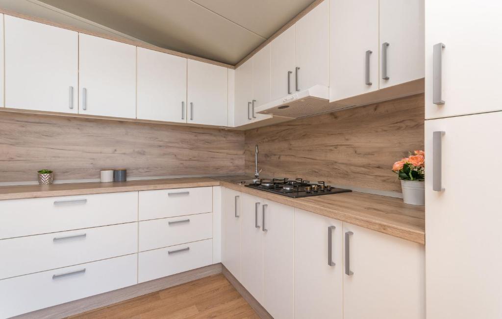 Kuchyň nebo kuchyňský kout v ubytování Mobile home Rock Rose 1