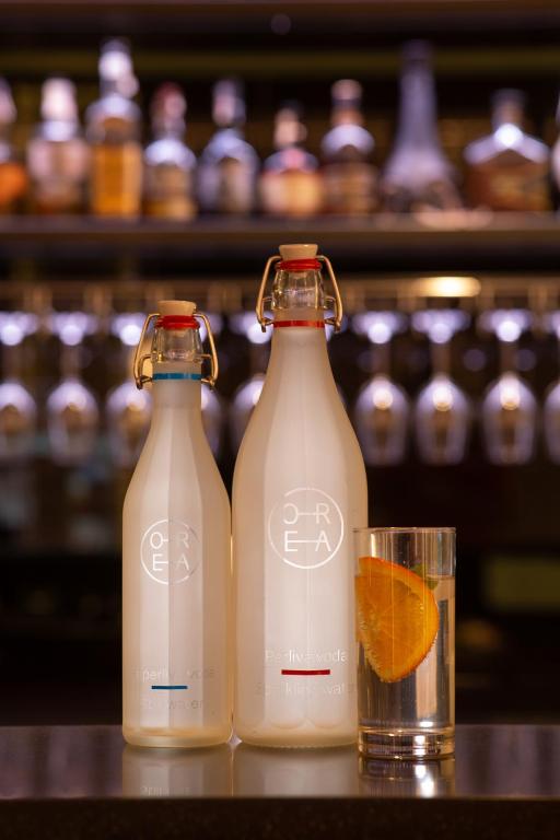 OREA Congress Hotel Brno - Resim 9