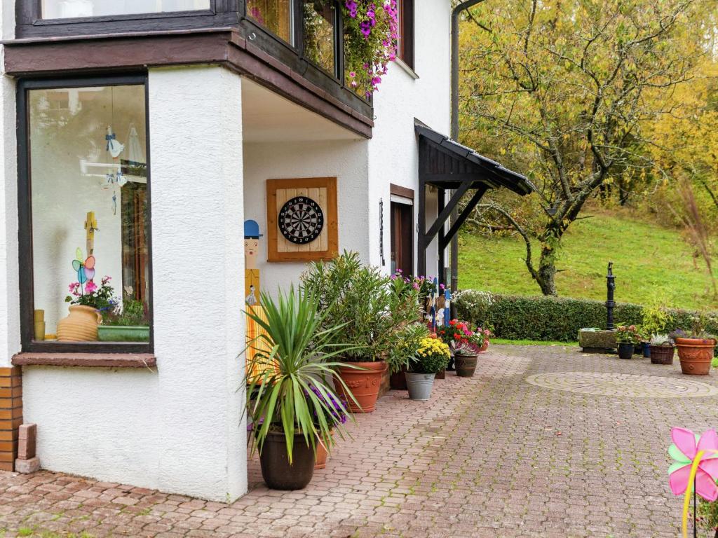 a white building with potted plants and a window at Apartment in Werratal with terrace in Großalmerode