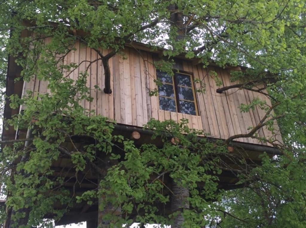 una casa en el árbol en medio de los árboles en Treehouse Magpies Nest with bubble pool, en Avesta