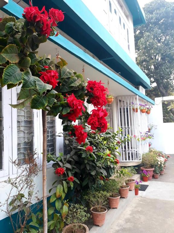 a bunch of red flowers on the side of a building at Namaskar Lodge and Homestay in Guwahati
