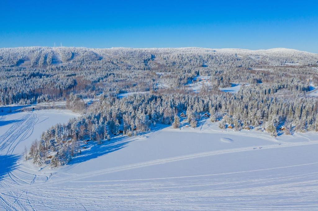 Rinnepelto Holiday Cottages - Two-Bedroom Cottage With Sauna