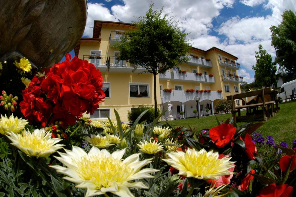 Zahrada ubytování Hotel Daniela