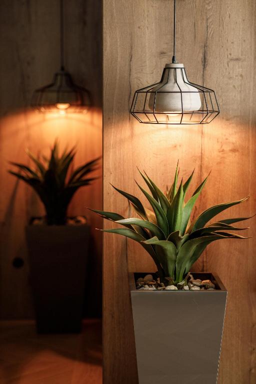 SCHUSTER Boarding House - Resim 40