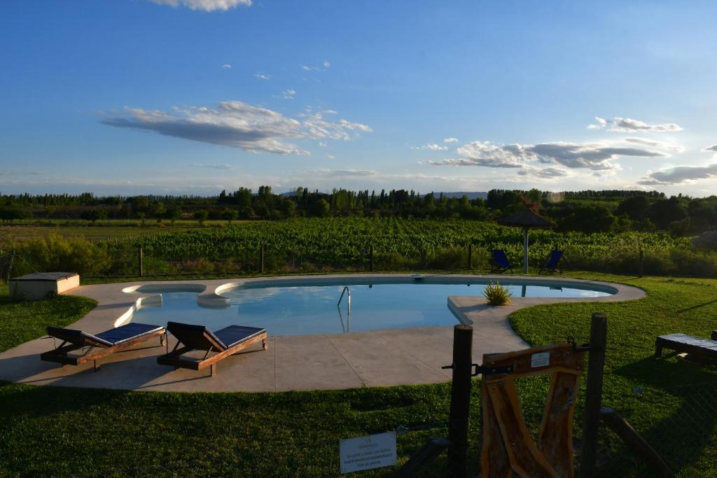 a pool with two lounge chairs and a vineyard at Cabañas Viento Andino in San Rafael
