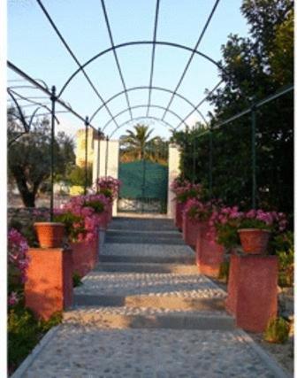 a walkway with a greenhouse with flowers and plants at Villa Rosmarino in Camogli