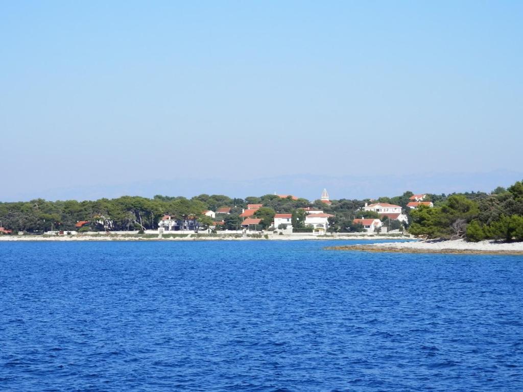 a view of the beach from the water at Guest House Tiho in Silba