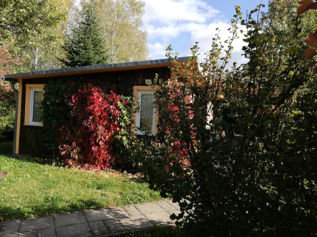 a small house covered in ivy in a yard at Ferienhaus Waldglück in Tanne