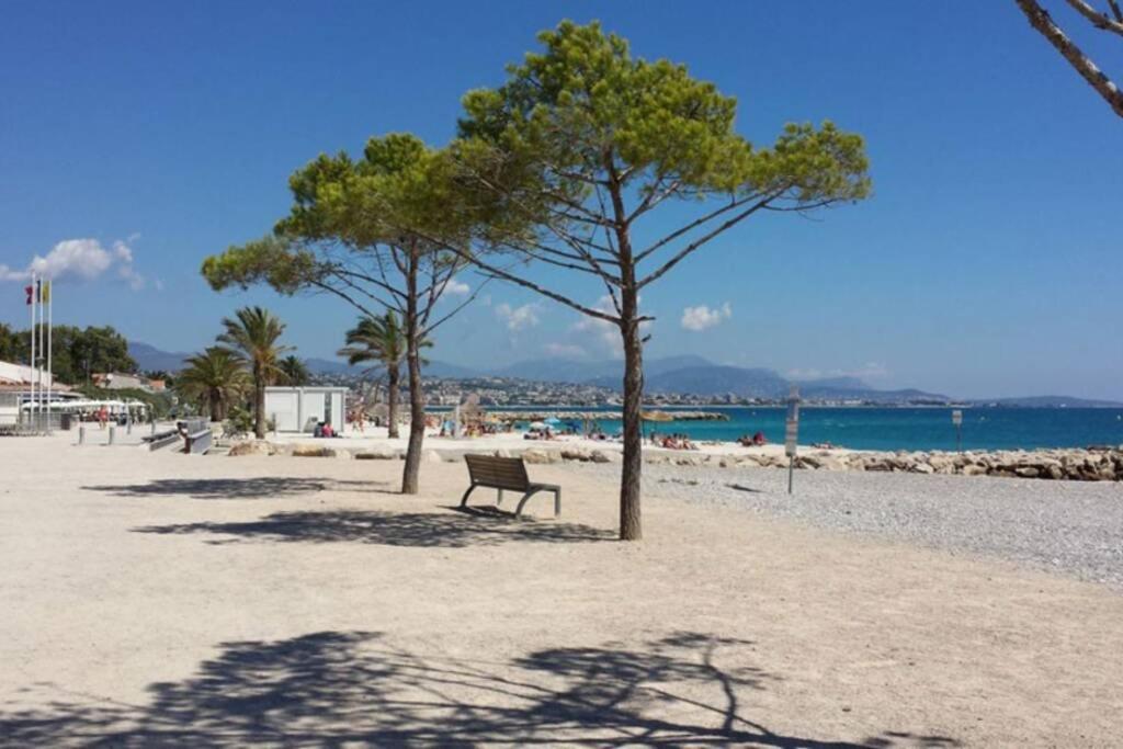 un banc sur une plage avec des arbres et l'océan dans l'établissement villa stellaris, à Villeneuve-Loubet