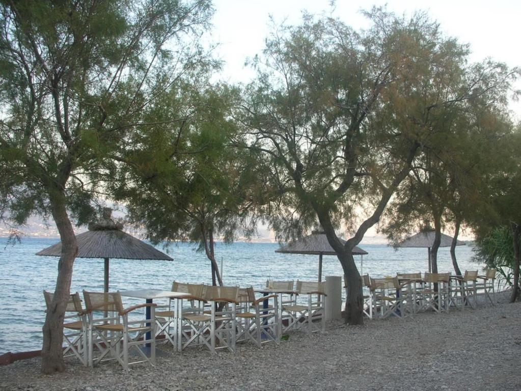 Φυσικό τοπίο κοντά σε αυτός ο ξενώνας