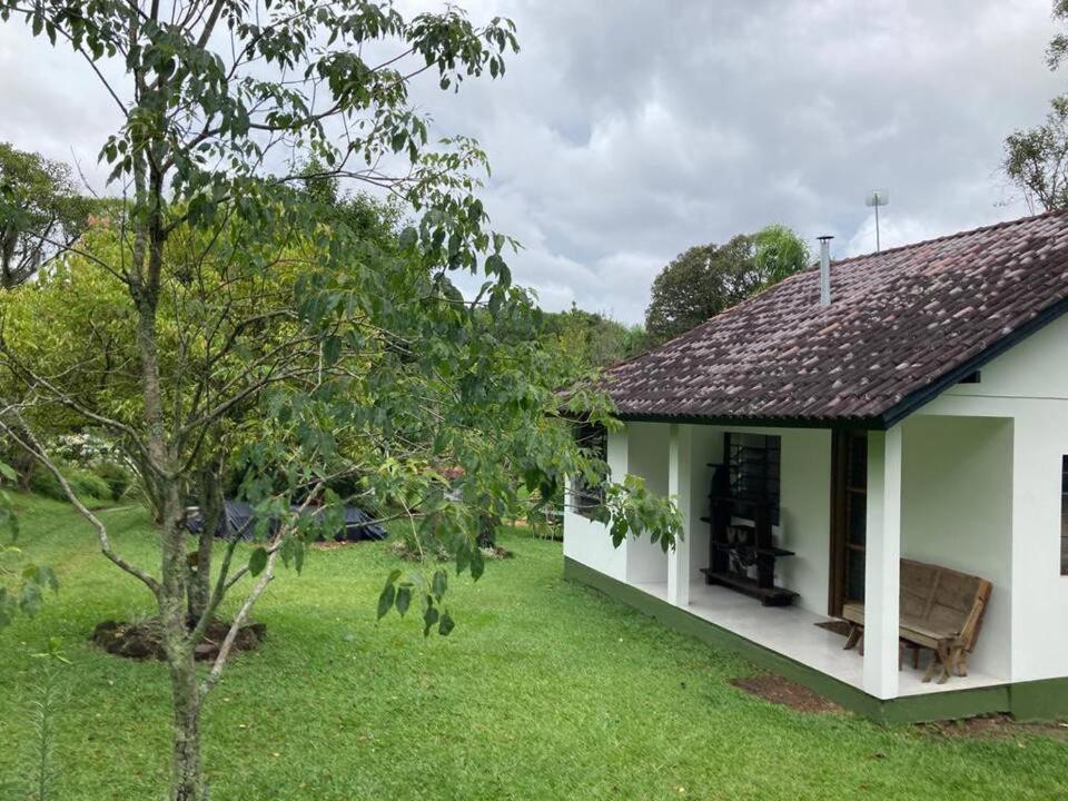 une maison blanche dotée d'une cour verdoyante avec un arbre dans l'établissement KrummenHaus, à Santa Maria do Erval