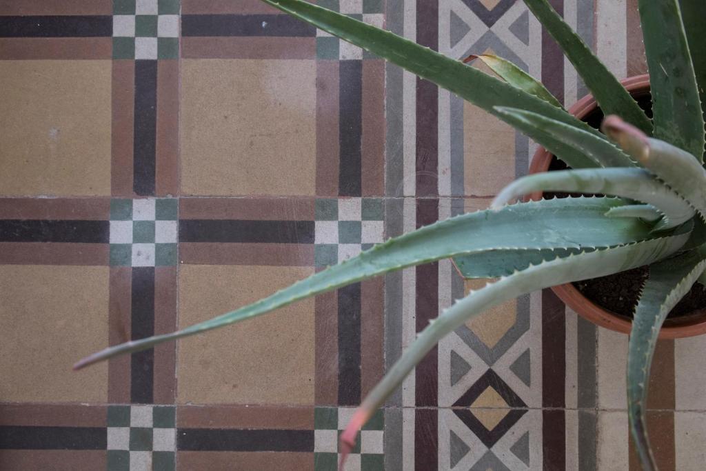 Noù la tua casa in Puglia - 10