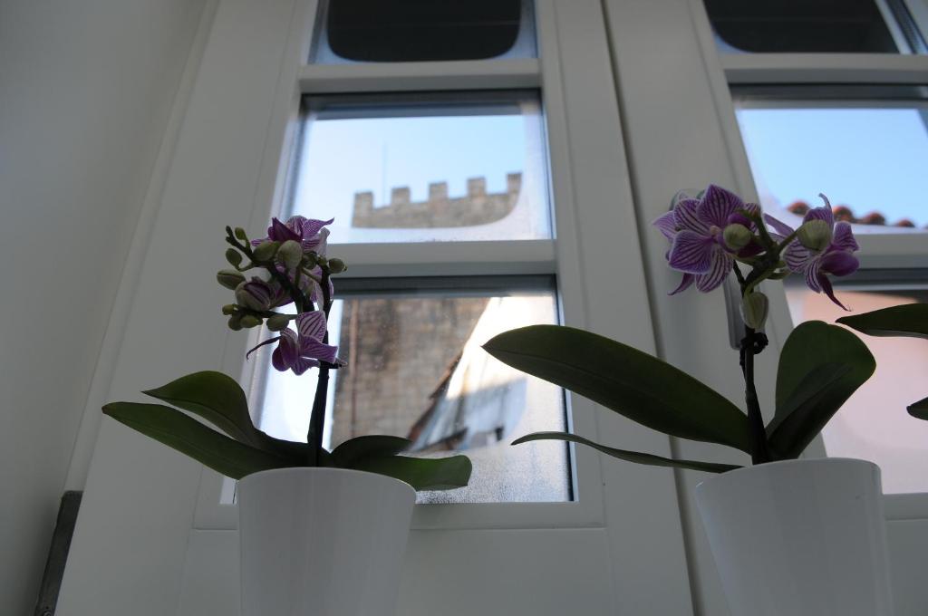 two purple flowers in white vases in a window at The Castle House in Lamego