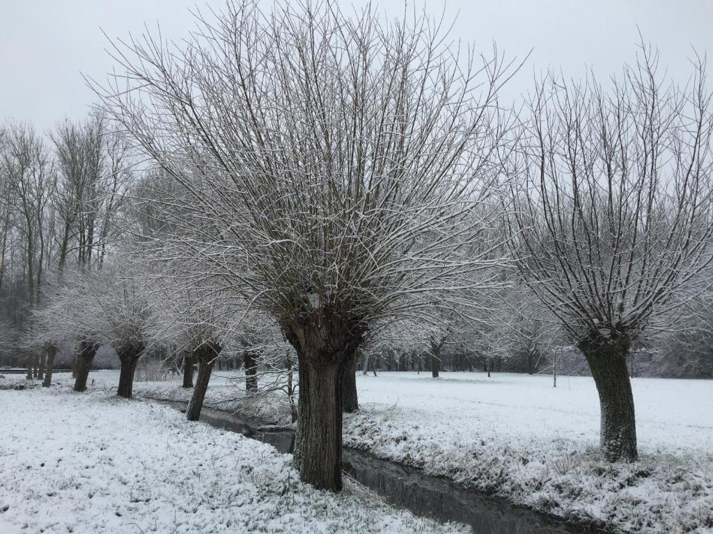 Het Zwaantje talvel