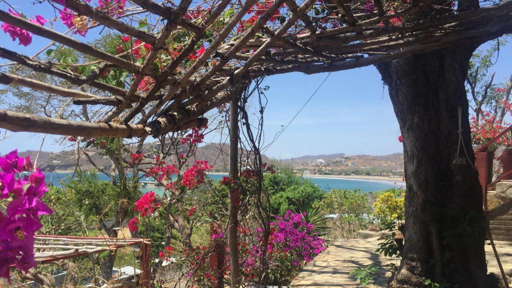 a view of the water from a garden with flowers at 1 bedroom apartment with bay view, 3 blocks from beach and center of San Juan in San Juan del Sur