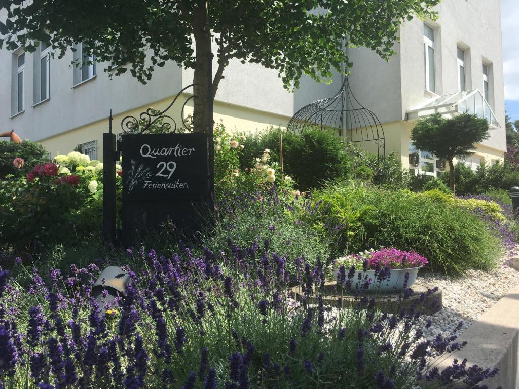 a garden with purple flowers and a sign in front of a building at Quartier 29 in Eutin