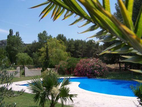 une piscine au milieu d'un jardin dans l'établissement Villa Glycine -Mas de Joseph aux Baux de Provence, à Fontvieille